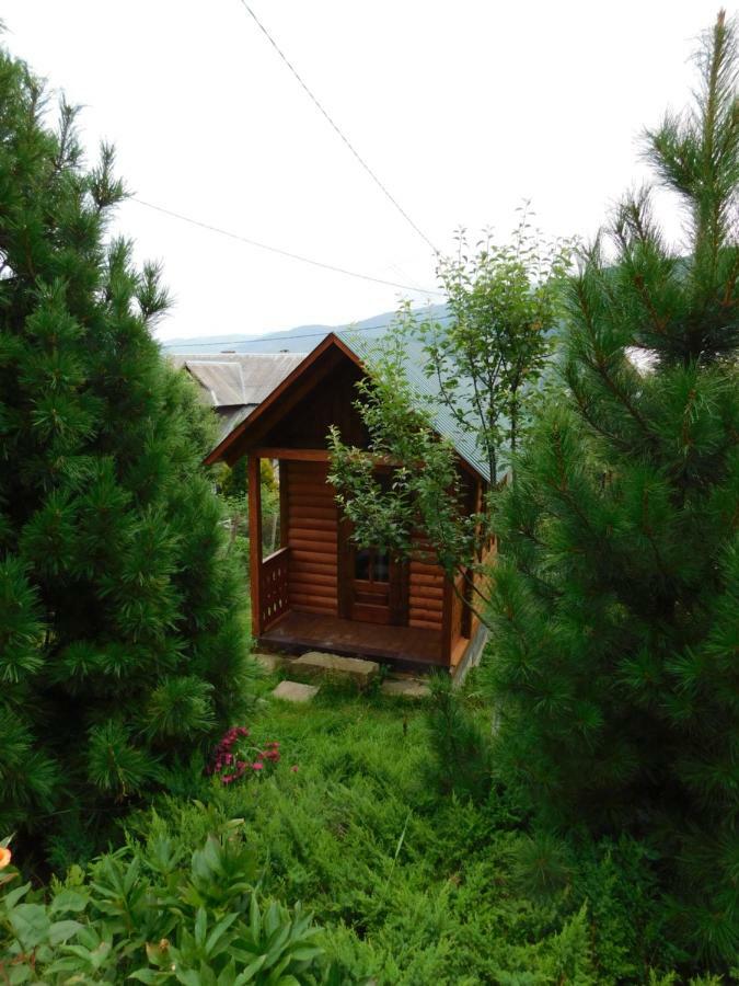 Glanz Cottage Yaremche Dış mekan fotoğraf